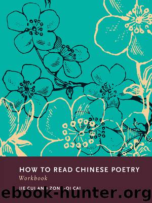 How to Read Chinese Poetry Workbook by Cai Zong-qi Cui Jie