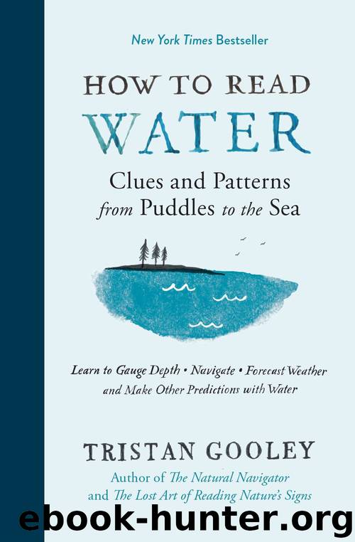 How to Read Water: Clues and Patterns from Puddles to the Sea by Tristan Gooley