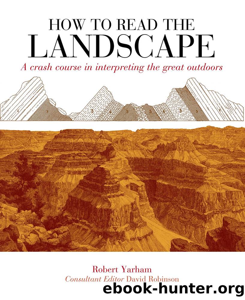 How to Read the Landscape by Robert Yarham