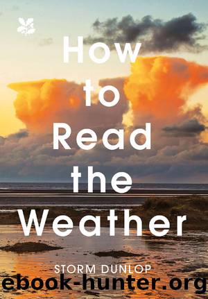 How to Read the Weather by Storm Dunlop