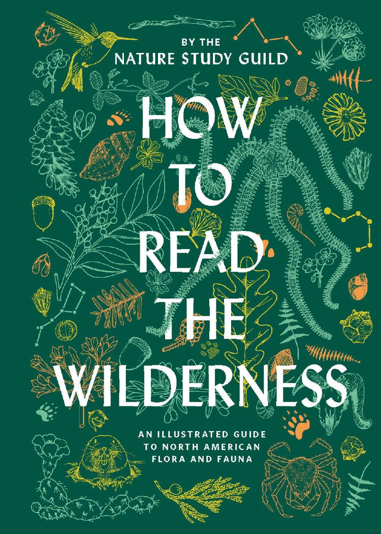 How to Read the Wilderness by Nature Study Guild