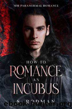 How to Romance an Incubus: A gay paranormal romance by S. Rodman