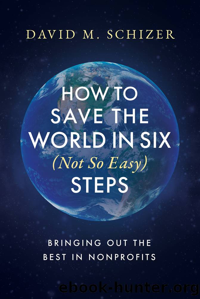 How to Save the World in Six (Not So Easy) Steps by David M. Schizer