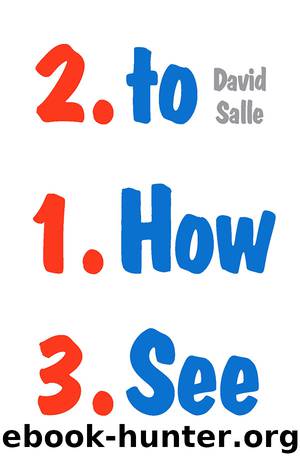 How to See by David Salle