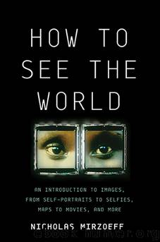 How to See the World: An Introduction to Images, From Self-Portraits to Selfies, Maps to Movies, and More by Nicholas Mirzoeff