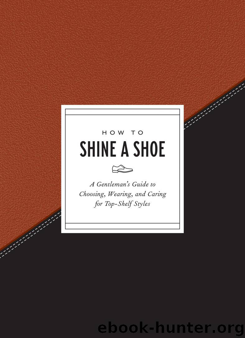 How to Shine a Shoe by Potter Gift