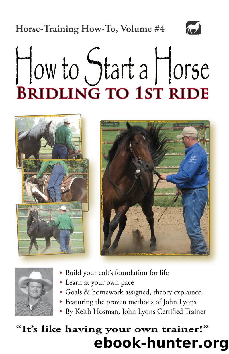 How to Start a Horse by Keith Hosman