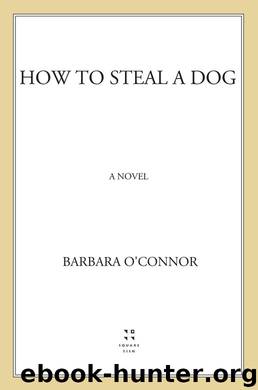 How to Steal a Dog by Barbara O'Connor