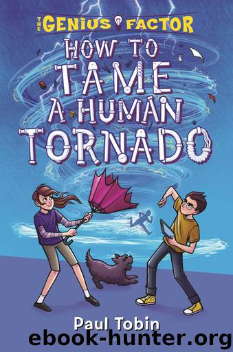 How to Tame a Human Tornado by Paul Tobin