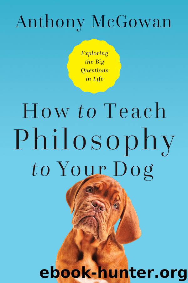 How to Teach Philosophy to Your Dog by Anthony McGowan