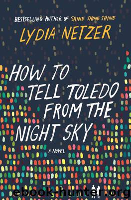 How to Tell Toledo from the Night Sky: A Novel by Lydia Netzer