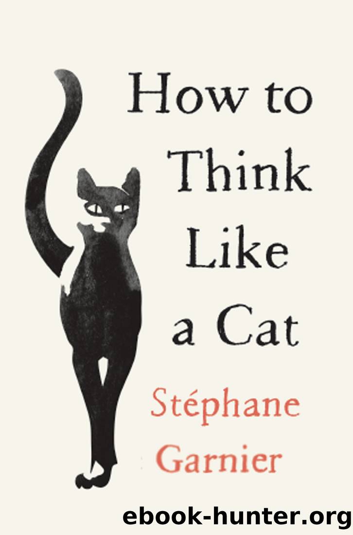How to Think Like a Cat by Stéphane Garnier