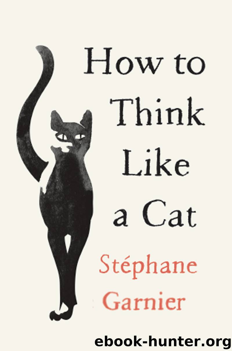 How to Think Like a Cat by Stephane Garnier