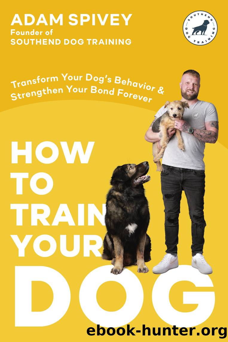 How to Train Your Dog by Adam Spivey