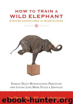 How to Train a Wild Elephant by Jan Chozen Bays MD