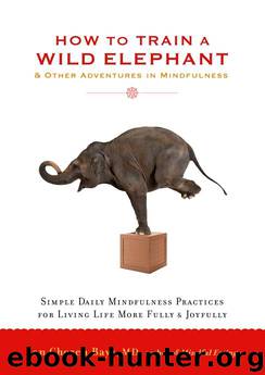 How to Train a Wild Elephant by Jan Chozen Bays