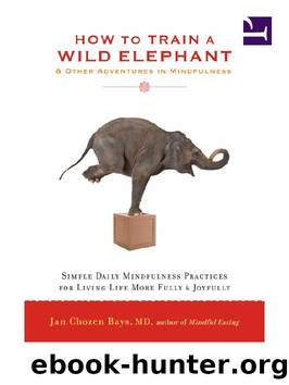 How to Train a Wild Elephant by Unknown