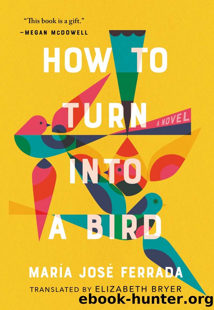How to Turn Into a Bird by Unknown