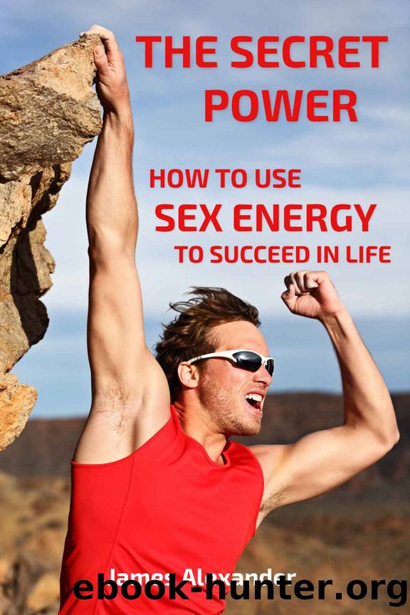 How to Use Sex Energy to Succeed in Life: - A practical guide to make you more productive, creative and alive with fire, passion and energy by James Alexander