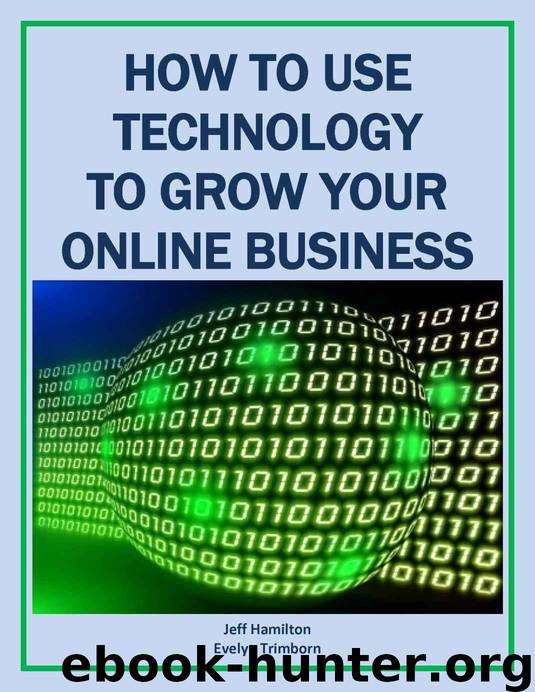 How to Use Technology to Grow Your Online Business (Technology Matters) by Trimborn Evelyn & Jeff Hamilton