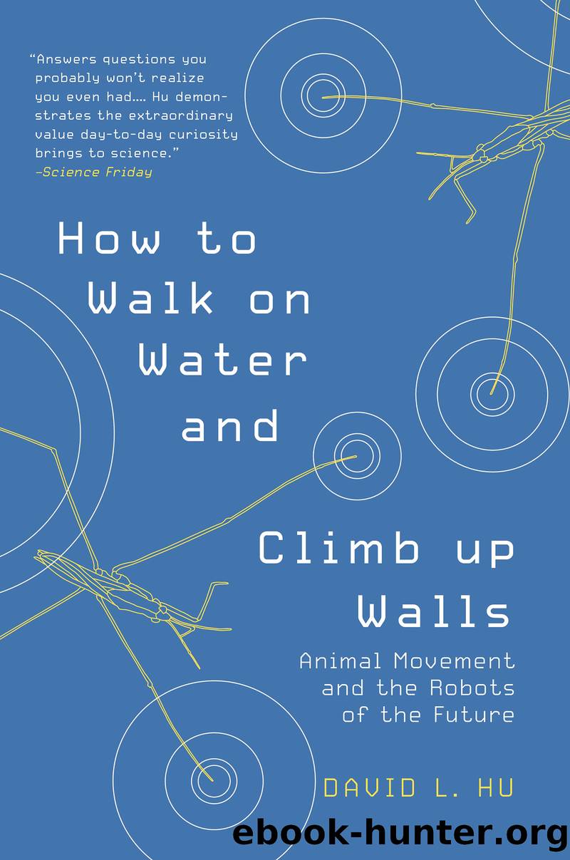 How to Walk on Water and Climb up Walls by David Hu
