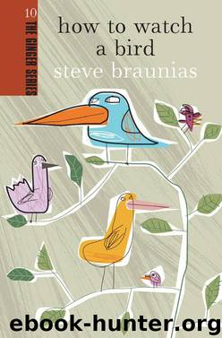 How to Watch a Bird by Steve Braunias