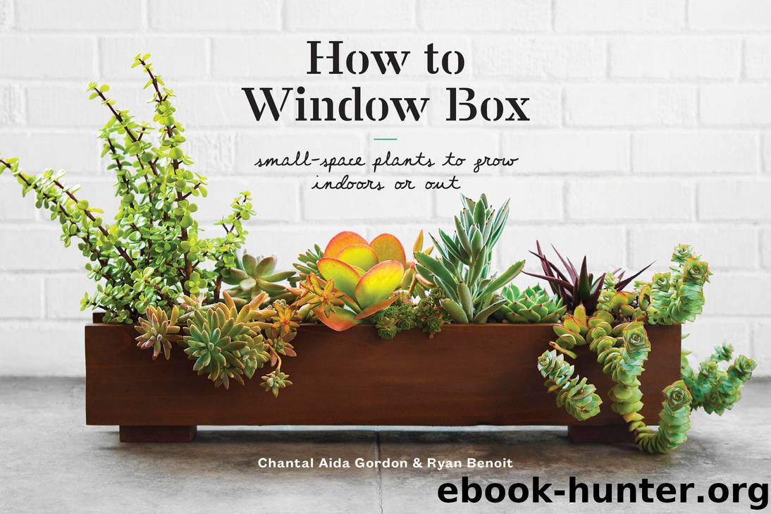 How to Window Box by Chantal Aida Gordon & Ryan Benoit