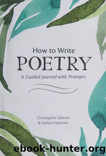 How to Write Poetry: A Guided Journal with Prompts to Ignite Your Imagination by Christopher Salerno; Kelsea Habecker