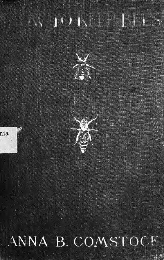 How to keep bees; a handbook for the use of beginners by Comstock Anna Botsford 1854-1930