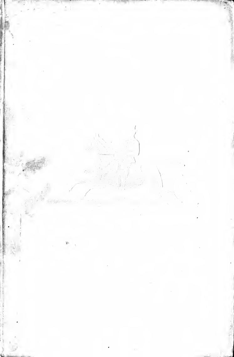 How to ride and school a horse : with a system of horse gymnastics by Anderson Edward L. (Edward Lowell) 1842-1916