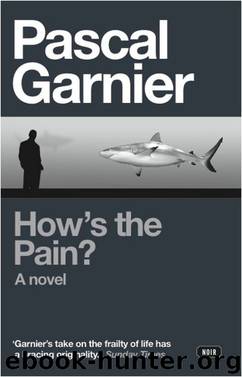 How's the Pain? by Pascal Garnier