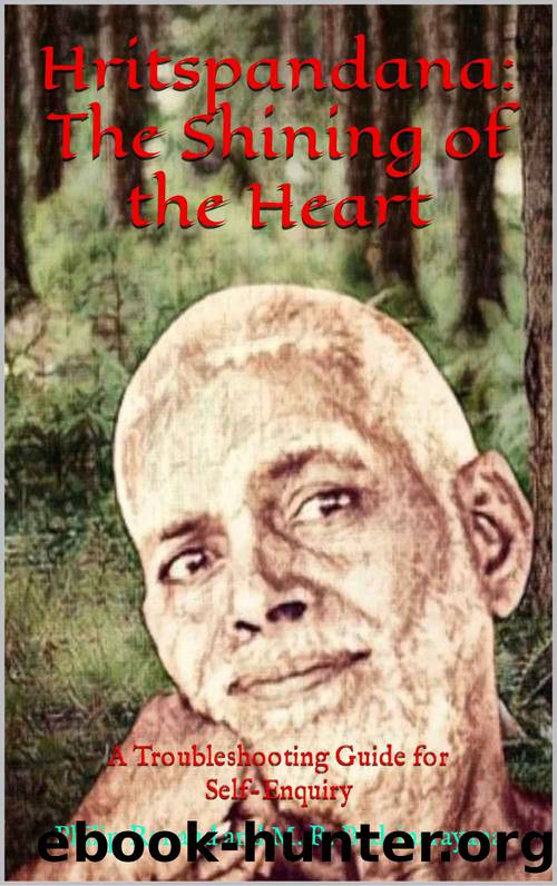 Hritspandana: The Shining of The Heart: A Troubleshooting Guide for Self-Enquiry by Philip Renaud & M. R. Badrinarayana