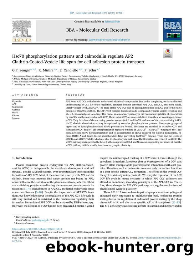 Hsc70 phosphorylation patterns and calmodulin regulate AP2 Clathrin-Coated-Vesicle life span for cell adhesion protein transport by G.F. Sengül & R. Mishra & E. Candiello & P. Schu