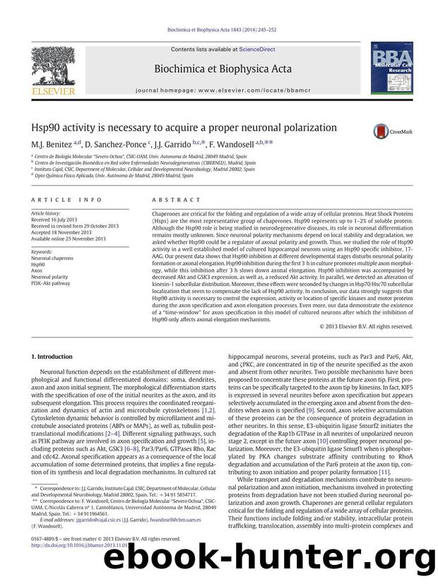 Hsp90 activity is necessary to acquire a proper neuronal polarization by M.J. Benitez & D. Sanchez-Ponce & J.J. Garrido & F. Wandosell