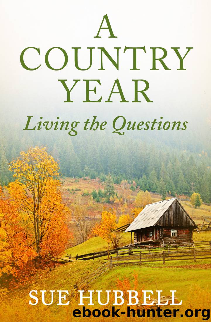 Hubbell, Sue - A Country Year by Hubbell Sue