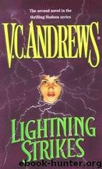 Hudson 02 Lightning Strikes by V. C. Andrews