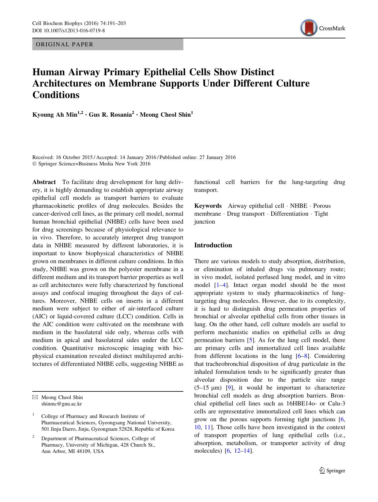Human Airway Primary Epithelial Cells Show Distinct Architectures on Membrane Supports Under Different Culture Conditions by Kyoung Ah Min & Gus R. Rosania & Meong Cheol Shin