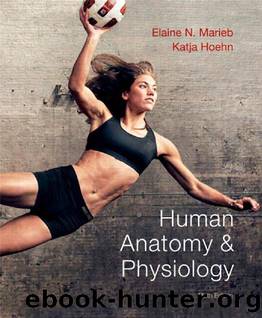 Human Anatomy & Physiology 9th Edition by Marieb & Hoehn {Moose-chan} by Unknown