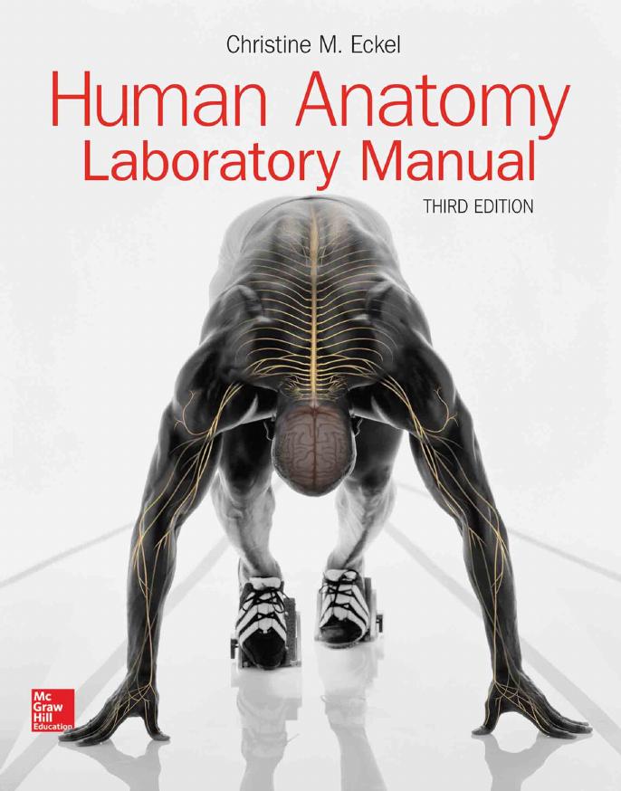 Human Anatomy Lab Manual (repost) by Unknow