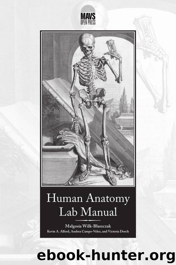 Human Anatomy Lab Manual by Malgosia Wilk-Blaszczak
