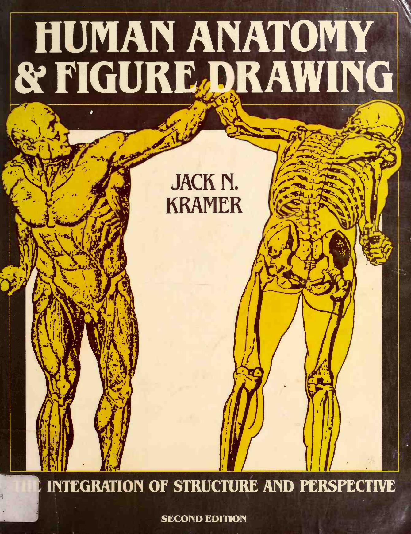 Human Anatomy and Figure Drawing by Jack N. Kramer