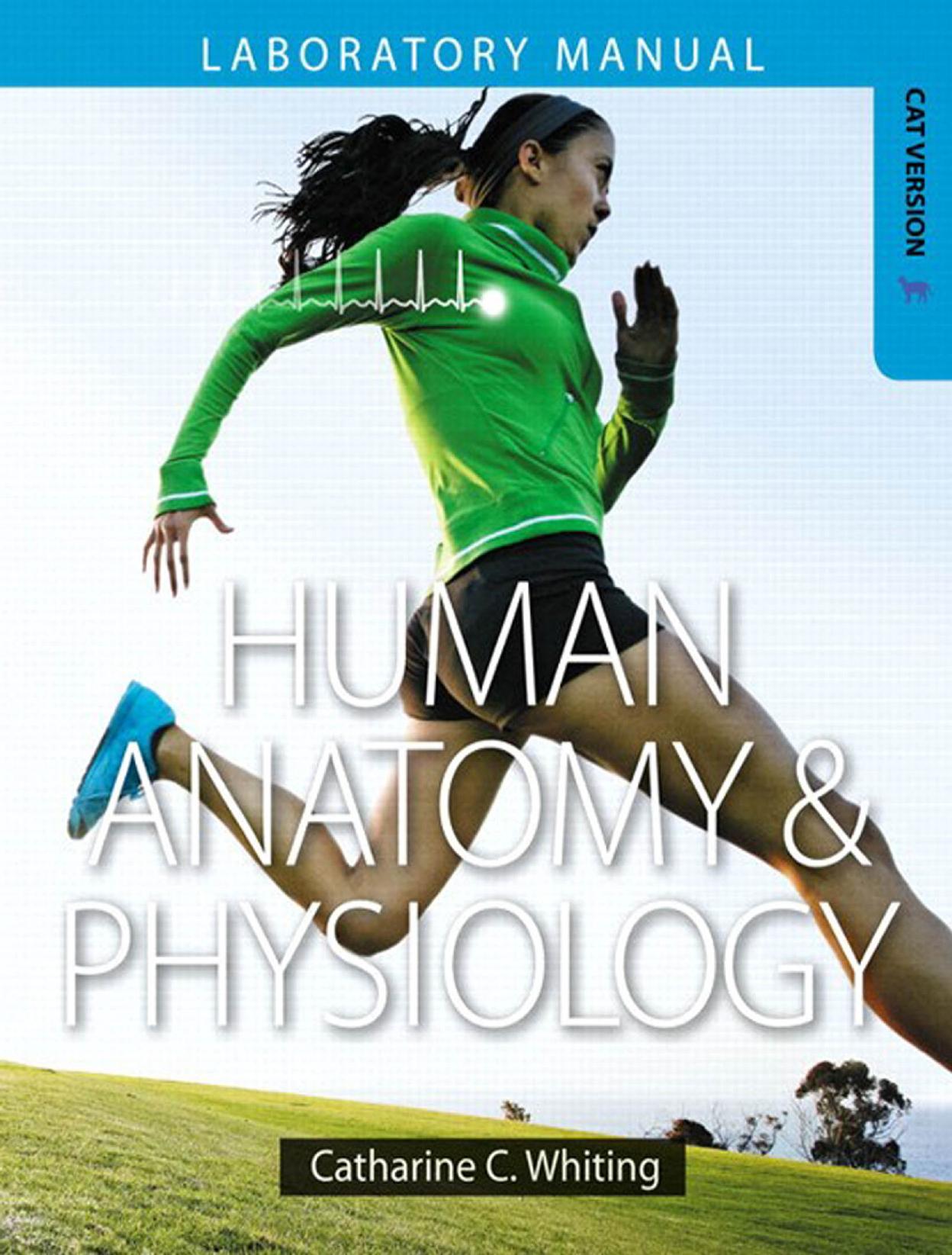 Human Anatomy and Physiology Laboratory Manual: Making Connections, Cat Version by Whiting C