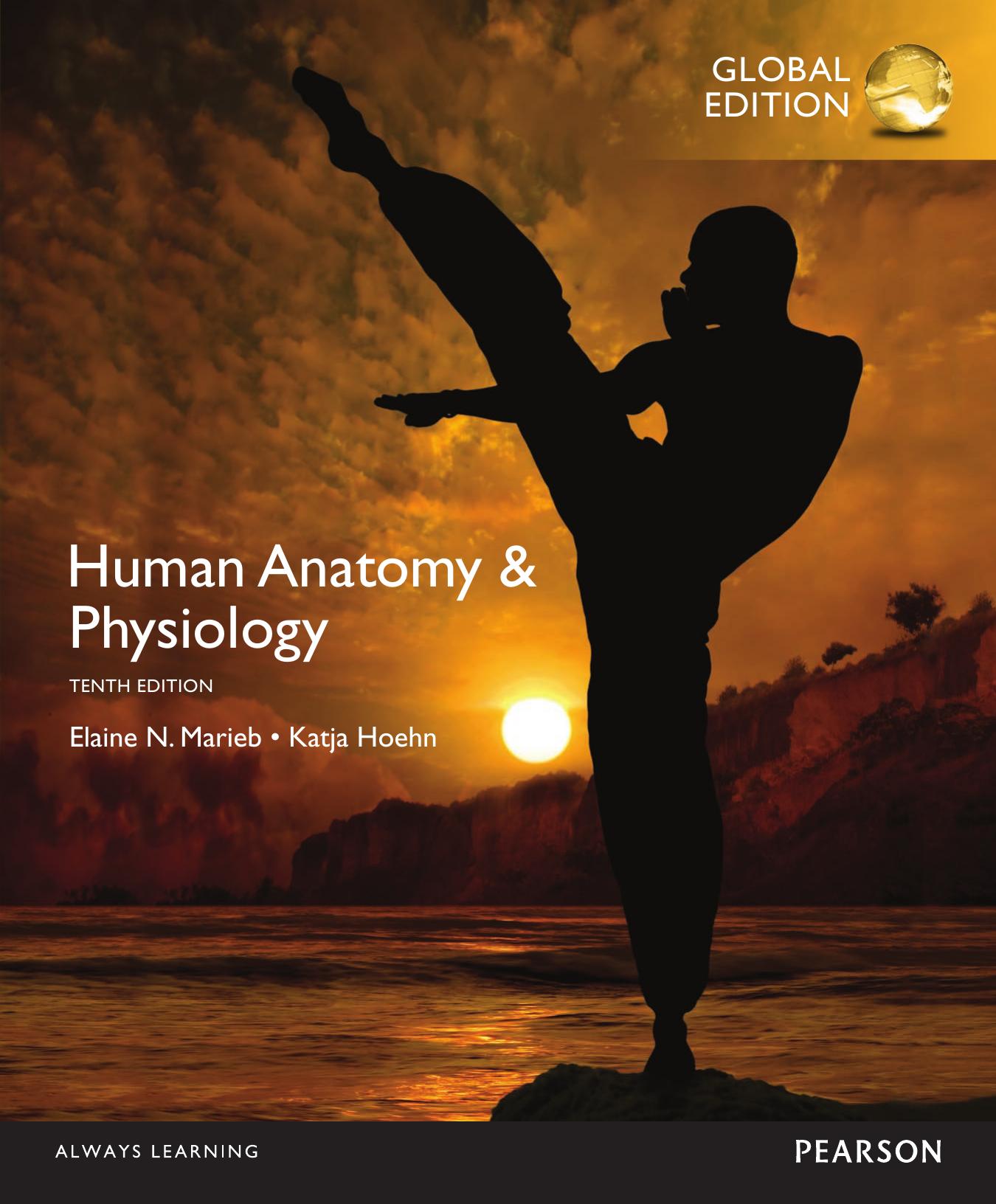 Human Anatomy and Physiology, 10th GLOBAL Edition by Elaine N. Marieb & Katja N. Hoehn