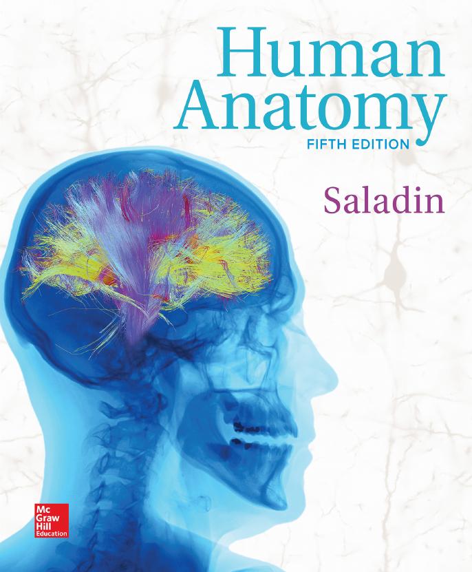 Human Anatomy by Kenneth S. Saladin