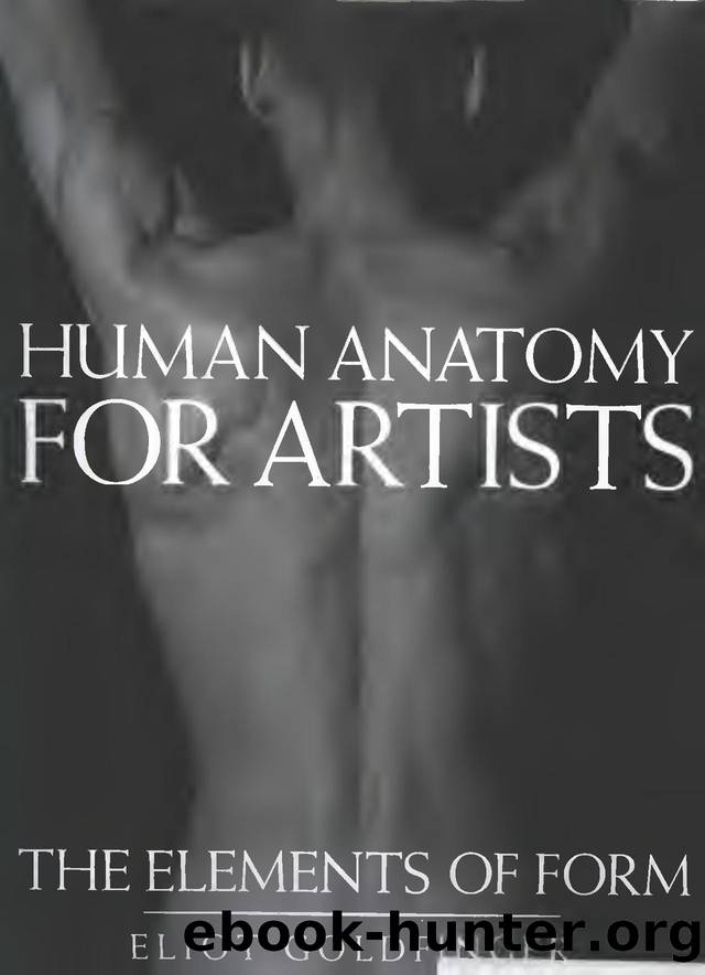 Human Anatomy for Artists   Eliot Goldfinger by Unknown