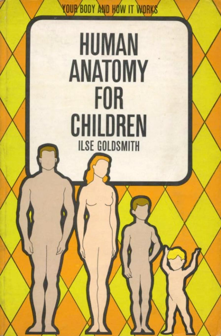 Human Anatomy for Children by Ilse Goldsmith