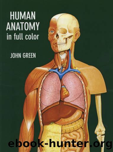 Human Anatomy in Full Color by Unknown