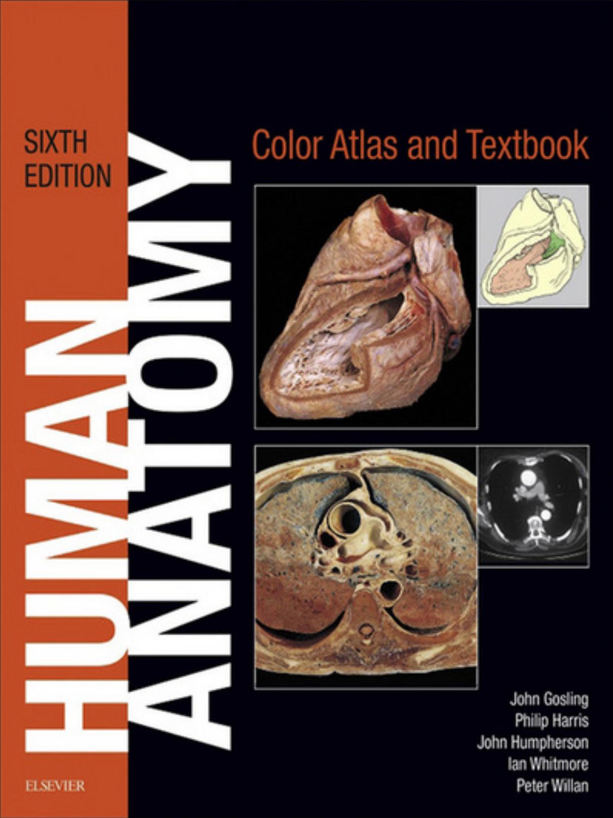 Human Anatomy: Color Atlas and Textbook by John A. Gosling Philip F. Harris John R. Humpherson Ian Whitmore Peter L. T. Willan