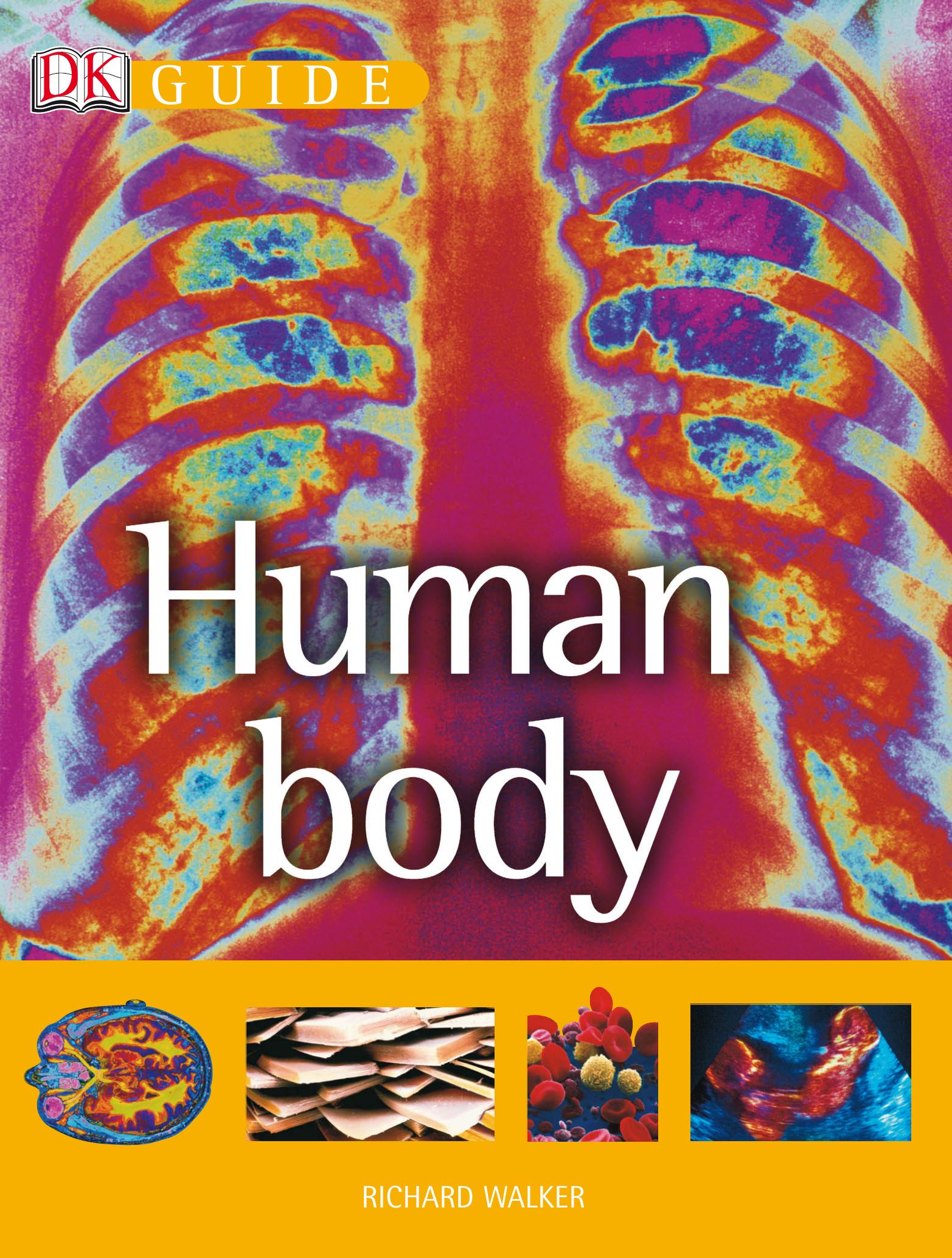 Human Body (Dk Guide) by Richard Walker