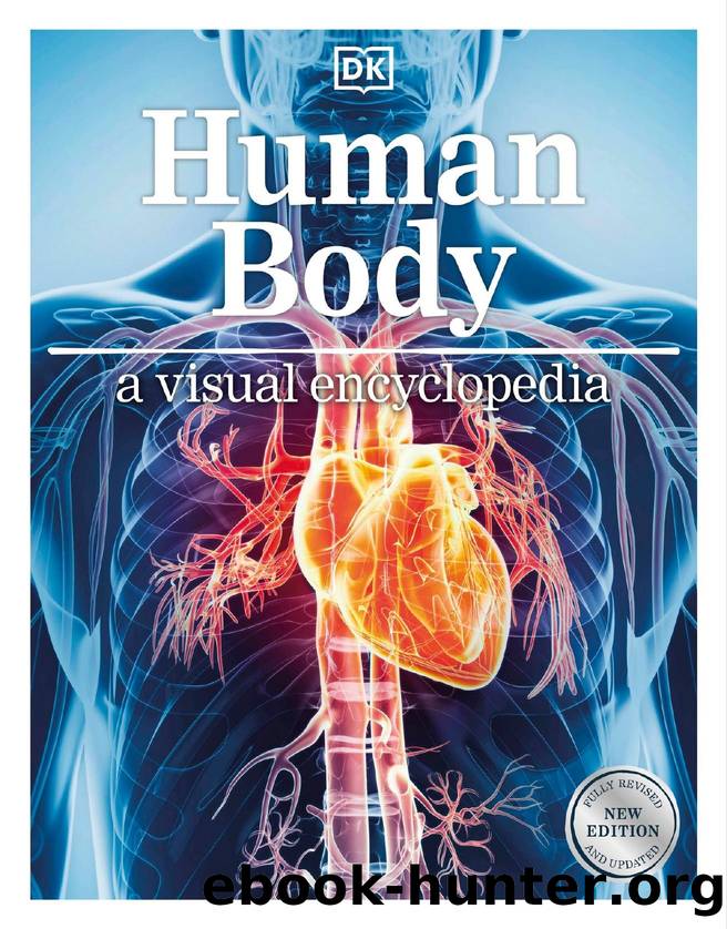 Human Body A Visual Encyclopedia by DK